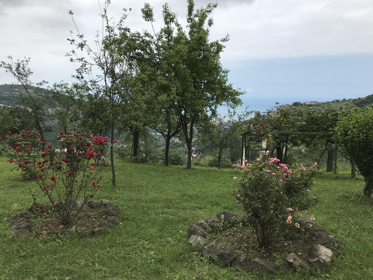 Sea & Nature Villa Hisar Trabzon Kültér fotó