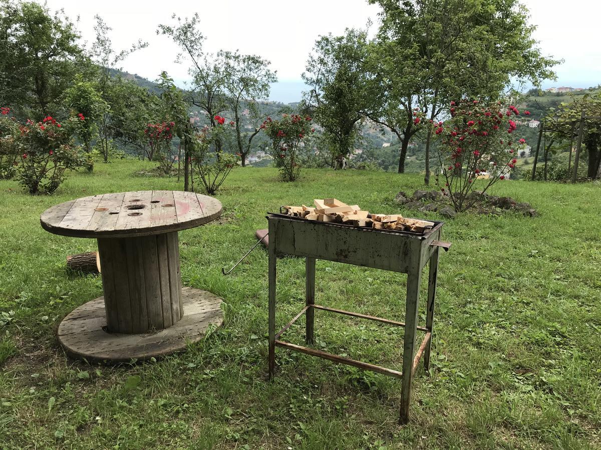 Sea & Nature Villa Hisar Trabzon Kültér fotó
