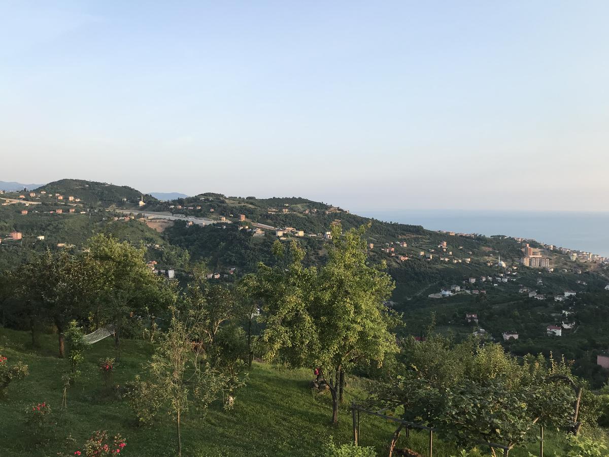 Sea & Nature Villa Hisar Trabzon Kültér fotó