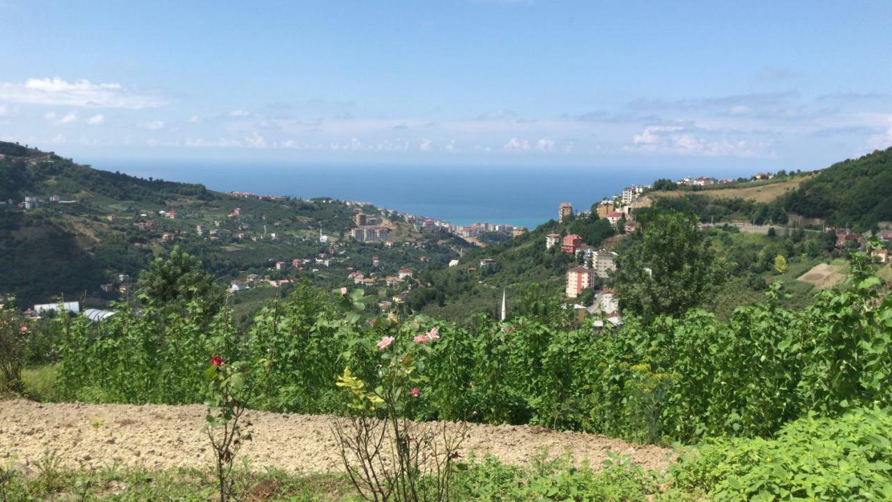 Sea & Nature Villa Hisar Trabzon Kültér fotó