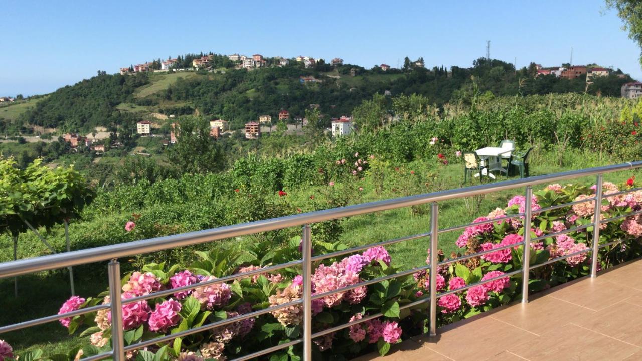 Sea & Nature Villa Hisar Trabzon Kültér fotó